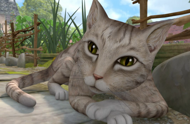 File:Catimage.png