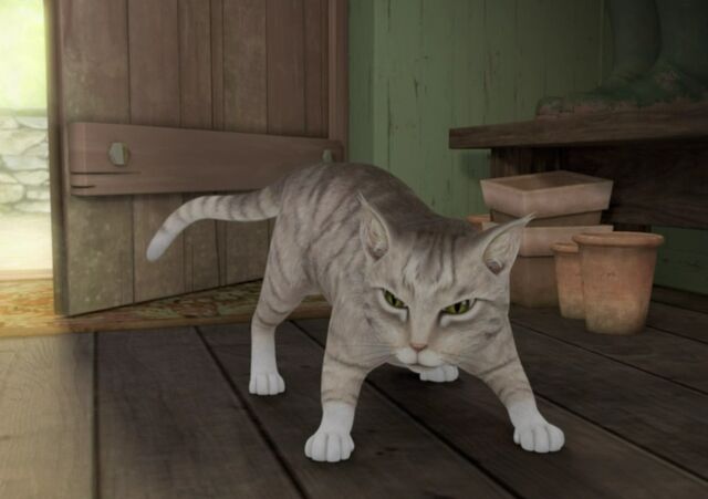 File:Mr-McGregor's-Pet-Cat-Image.jpg