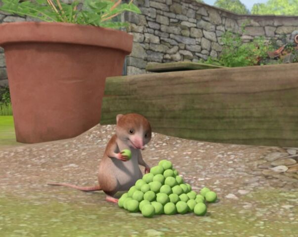 File:Peter-Rabbit-Character-Shrew-Eating-Peas-Image.jpg