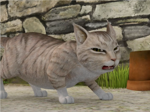 File:Mr McGregor's Cat Unnamed.png