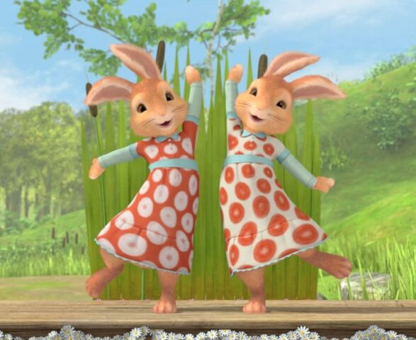 File:Twin-Sister-Rabbits-Mospey-And-Flospey-Rabbit-Image.jpg