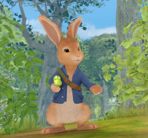 File:Peter Rabbit Happy.png
