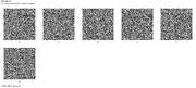 Dbx v0 1 codes