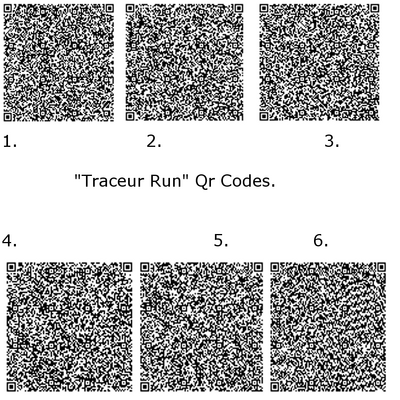 Traceur Run