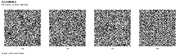 Dba qr
