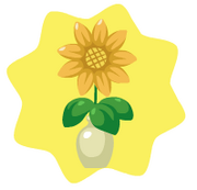 Sun flower