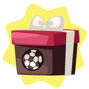 Soccer bundle