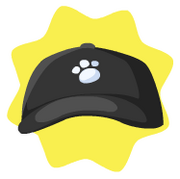 Referees hat
