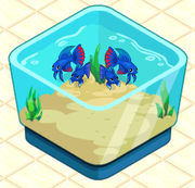 Betta