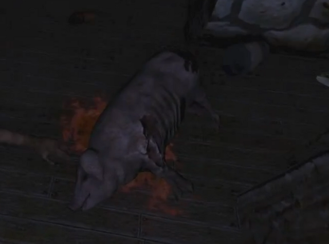 File:Piggeh.png