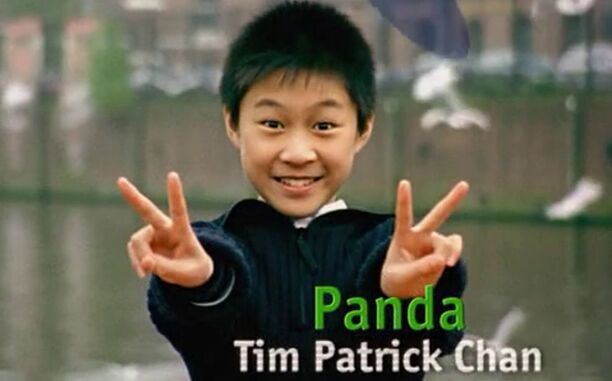 Datei:Panda Intro.jpg