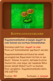 Dopelsonnenblume