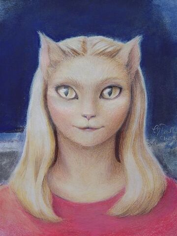 File:Cat.jpg