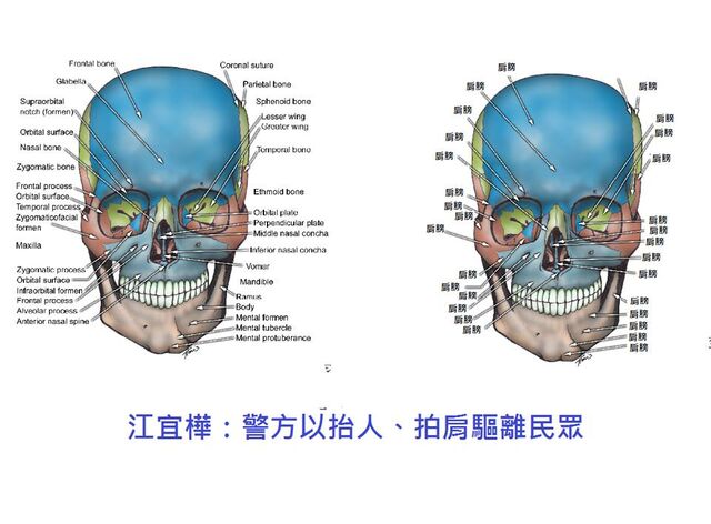 檔案:解剖與生理學.jpg