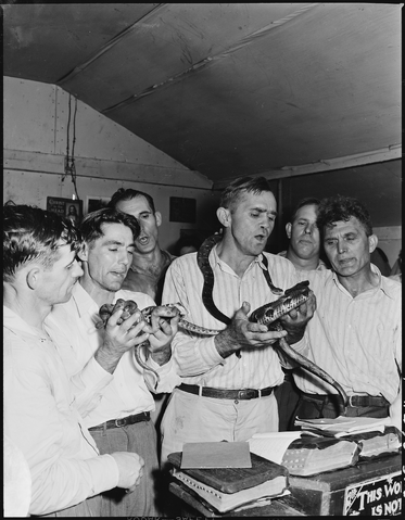 File:Snake handling NARA 541340.png
