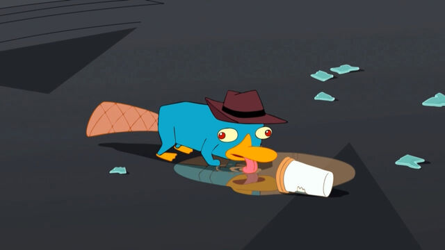 File:FloorCoffee.jpg