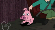 Sir Bacon