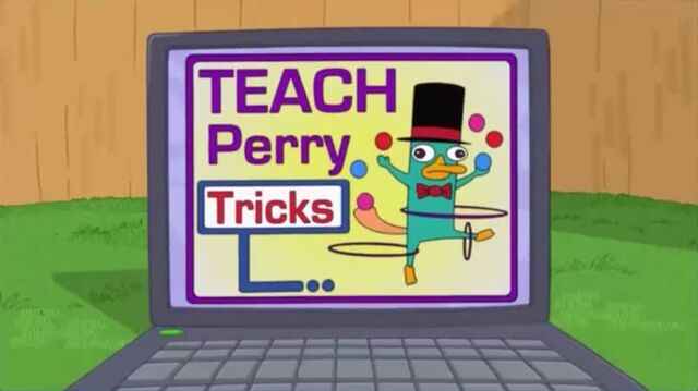 File:Teach Perry tricks.jpg