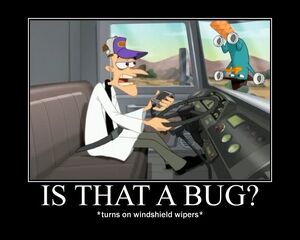 Is that a bug