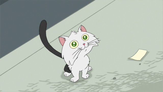 File:MrKitty.png