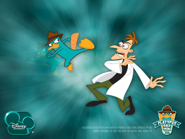 File:Platypus Day Wallpaper.jpg