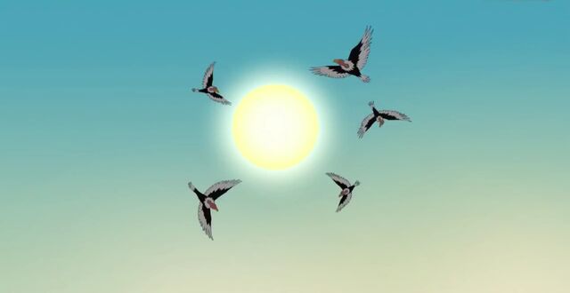 File:Vultures flying overhead.jpg