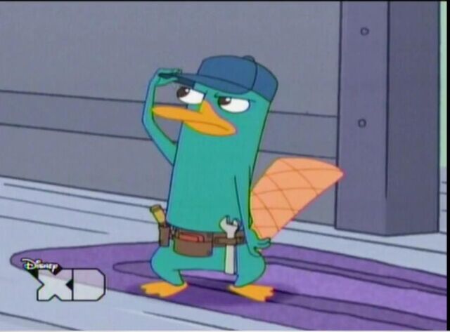 File:Platypus Plumber.jpg