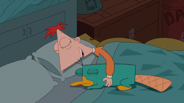 File:Phineas sleeping with Perry.png