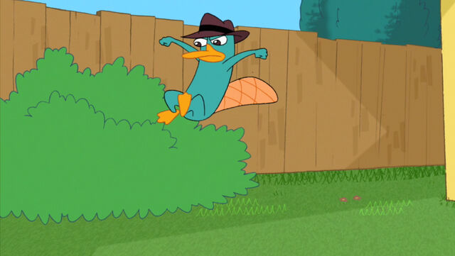 File:Candace Loses her head61.jpg