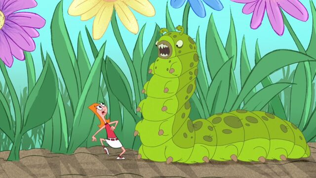 File:Ferocious caterpillar.jpg