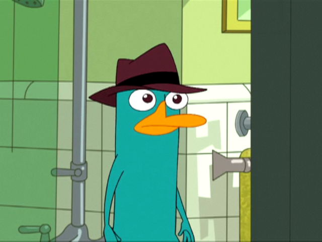 File:Perry in Ferb latin.png