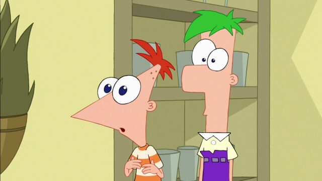 File:We can't find perry anywhere.jpg