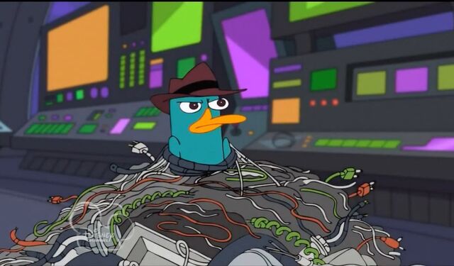File:Cables trapped perry.jpg