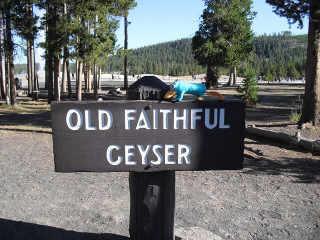 File:Old Faithful-Reliable Geyser.jpg