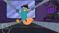 Perry trapped.jpg