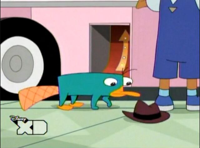 File:Perry's hat appears.jpg