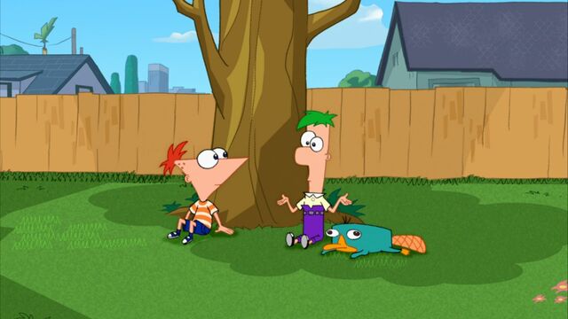 File:Ferb has no idea.jpg