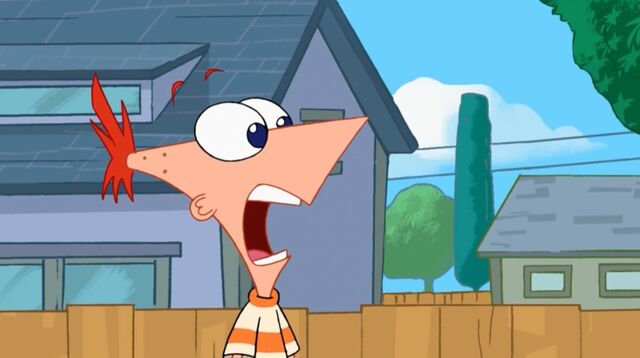 File:Phineas NOOOO.jpg