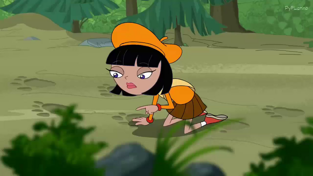 File:Vlcsnap-2014-11-13-17h46m05s63.png