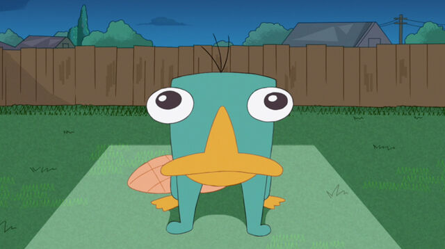 File:Perry head-on view.jpg