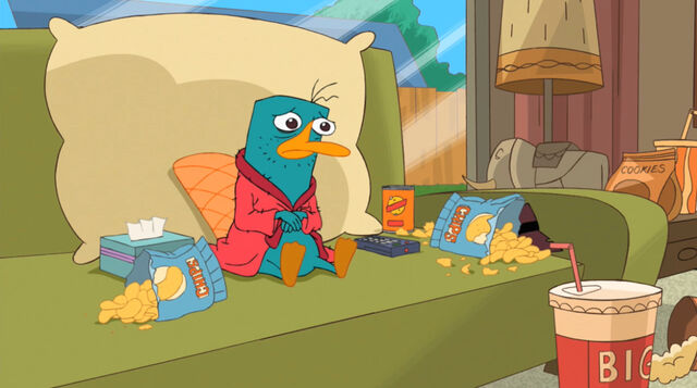 Tập tin:Perry watch the opera.jpg