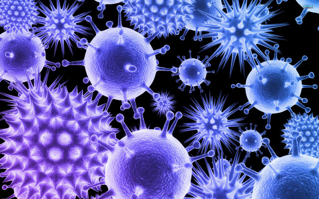 File:Viruses.jpg