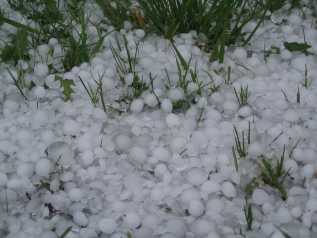 File:Hail2.jpg