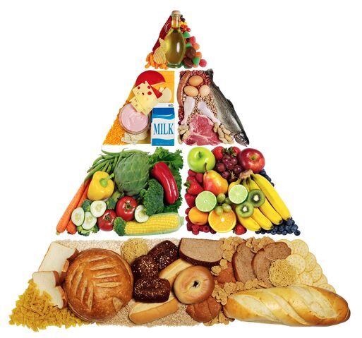 File:Food.jpg