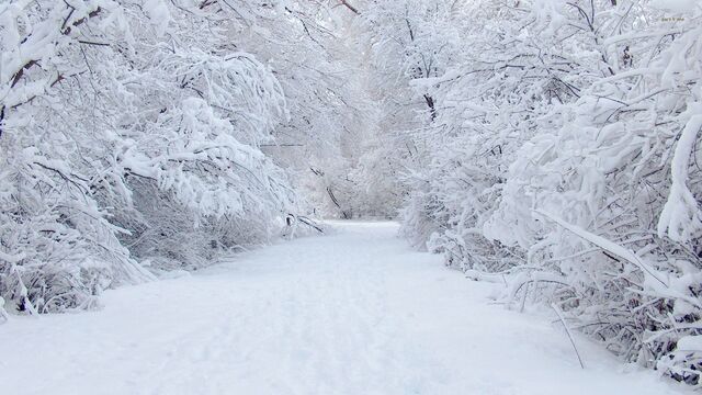 File:Snow.jpg