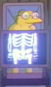 Molex-ray.jpg