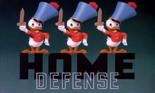 Homedefense