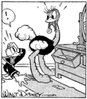 Hr-106.png
