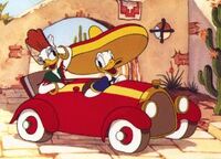 Voiture proto-313.jpg