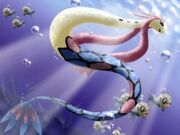 Milotic2 2